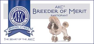 AKC Breeder of Merit