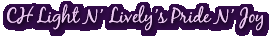 CH Light N’ Lively’s Pride N’ Joy