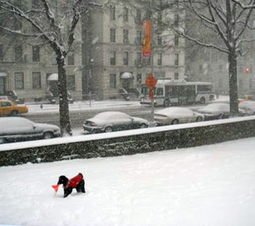 Bela in the snow