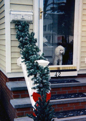 Peggy Thomas' Amber in the doorway of their new home