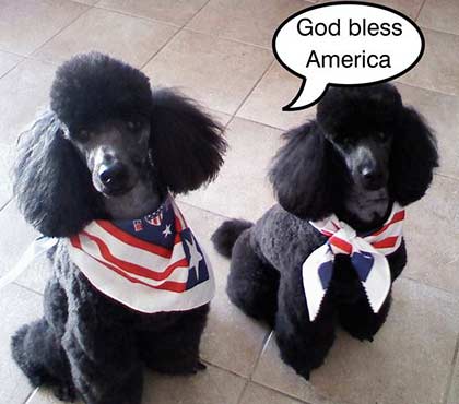Donna Bruno's Truman and Gracie. . . Celebrating Memorial Day 2014