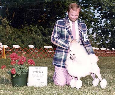 Andy winning 1st Place Veteran at Poodle Club of America handled by Dennis McCoy.