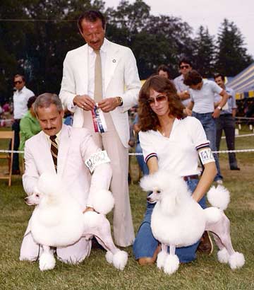 Andy winning BOV and his daughter, Multiple Group winning CH Light N' Lively's All About Eve, TP, winning BOS under Judge Frank Sabella