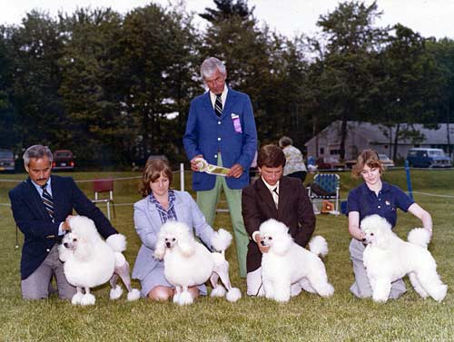 Andy and Fanny winning best stud dog and brood bitch with their offspring , Nikki and Sonny, under James Edward Clark