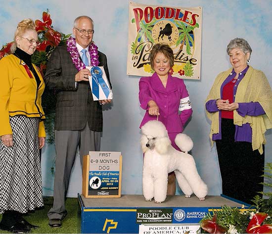 GCH Light N' Lively's For Cryin' Out Loud