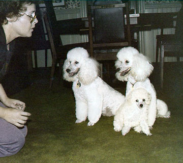 PomPom, Meme and Tina learning to sit