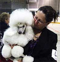 Dakota Ice Ice Baby Poodles