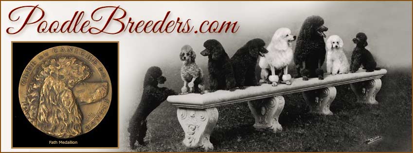 Standard, Miniature and Toy Poodle Breeders and Puppies