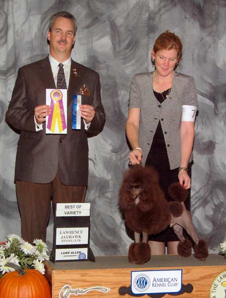 CH Ash's-Mystical Maestro Please