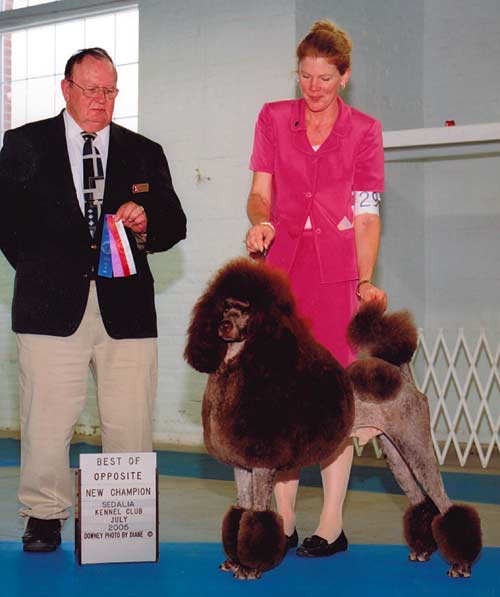 CH Ash's-Mystical Marshall Dilon