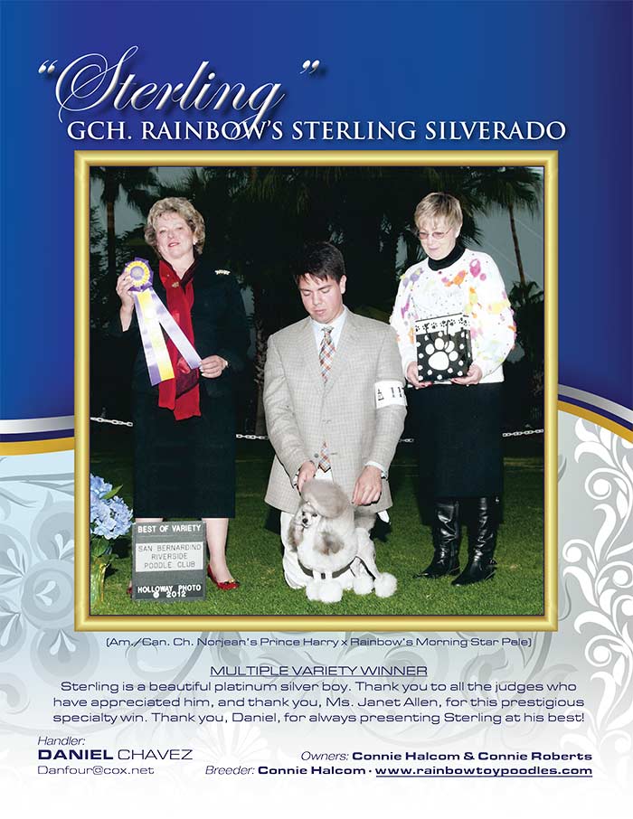 GCH Rainbow's Sterling Silverado