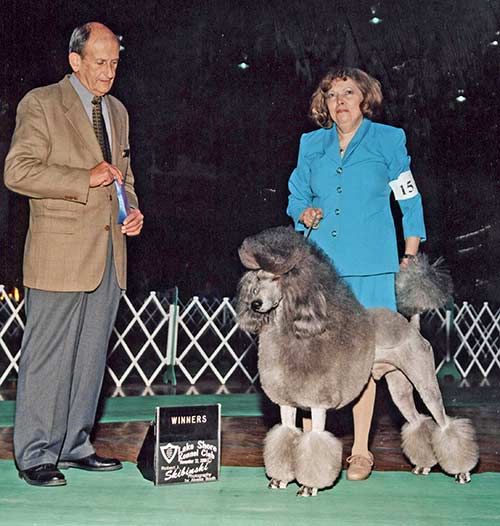 Terrifick Standard Poodles
AKC Breeder of Merit